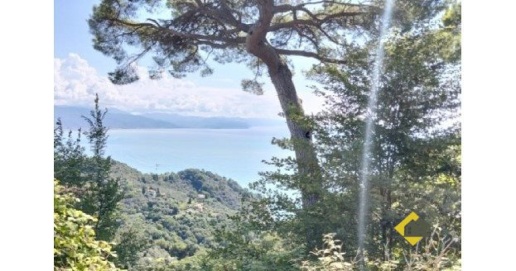 Foto Appartamento in VIA GAVE 40 B, Santa Margherita Ligure Struppa