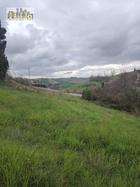 immagine annuncio 4 di 12