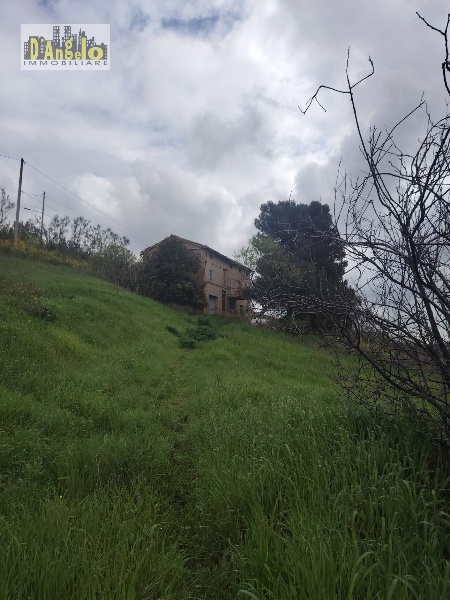 immagine annuncio 5 di 12