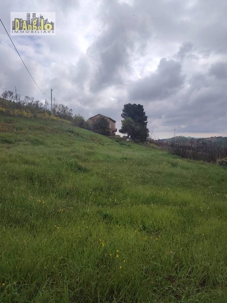 immagine annuncio 6 di 12