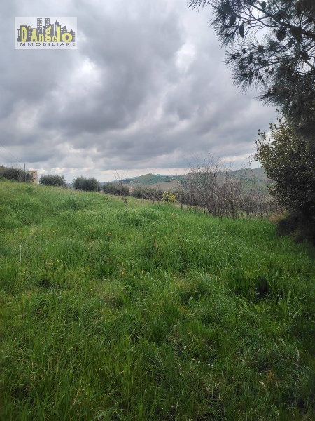 immagine annuncio 7 di 12