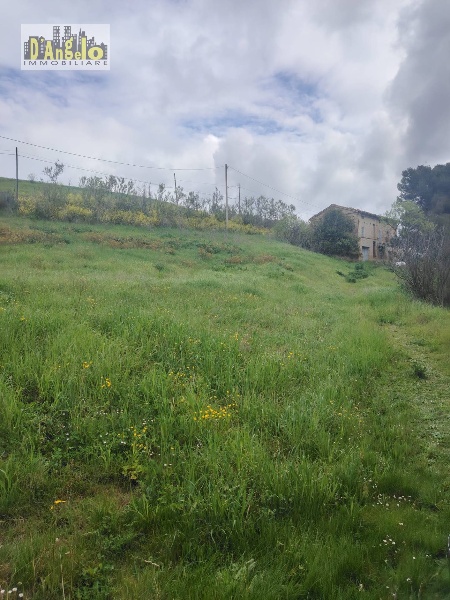 immagine annuncio 8 di 12