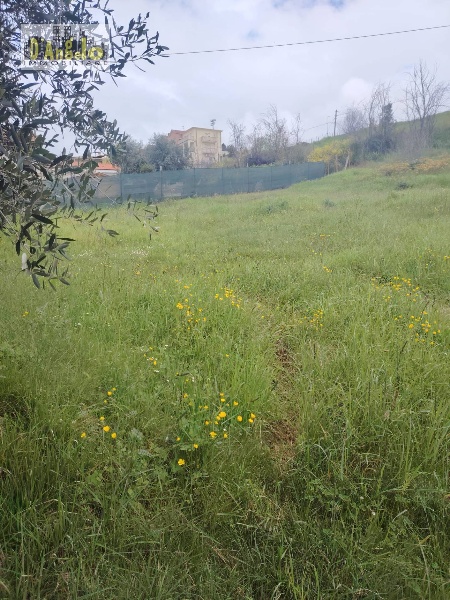 immagine annuncio 9 di 12