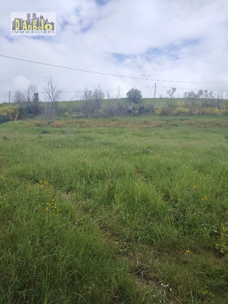 immagine annuncio 10 di 12