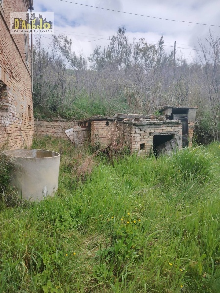 immagine annuncio 11 di 12