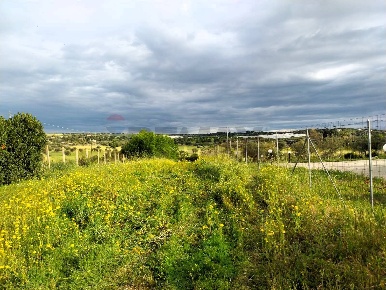 Foto Terreno residenziale in via Pozzallesi d'America, Pozzallo di 2500 m²