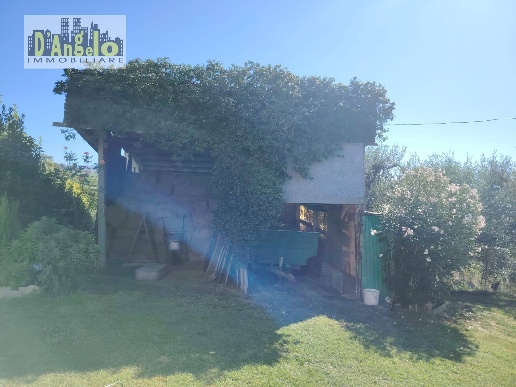 immagine annuncio 5 di 12