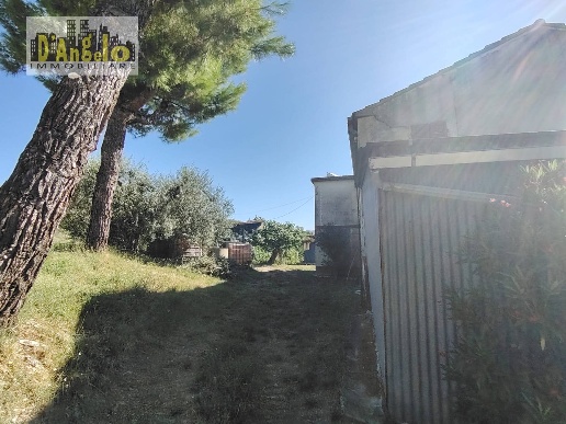 immagine annuncio 6 di 12