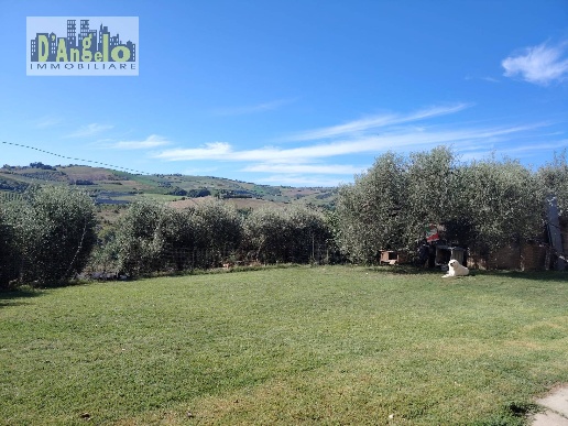 immagine annuncio 7 di 12