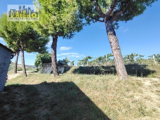 immagine annuncio 9 di 12