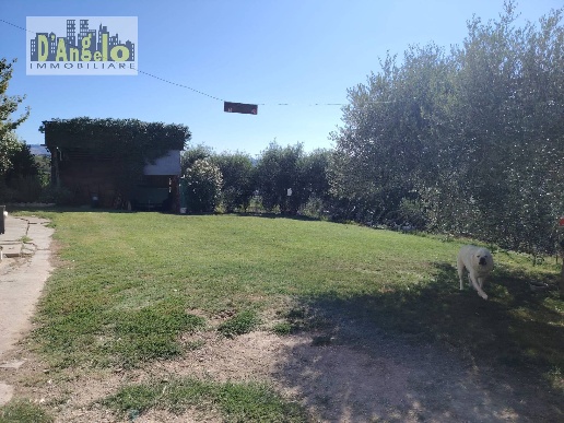 immagine annuncio 10 di 12