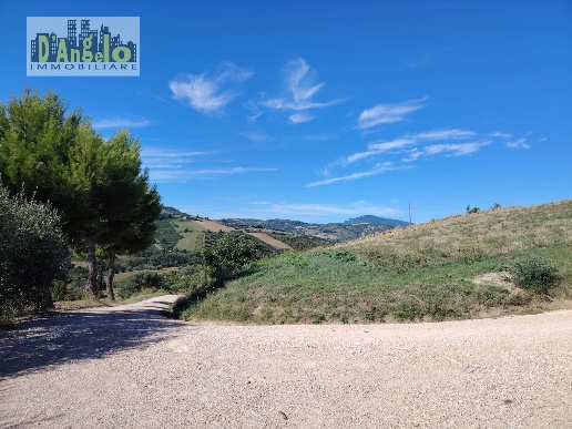 immagine annuncio 11 di 12