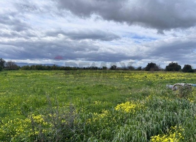 Foto Terreno agricolo in C.DA TORRICELLA-SIGONA, Lentini di 37500 m²