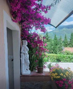 Foto Casa indipendente in Via  della Canonica 66, Camaiore Camaiore Paese