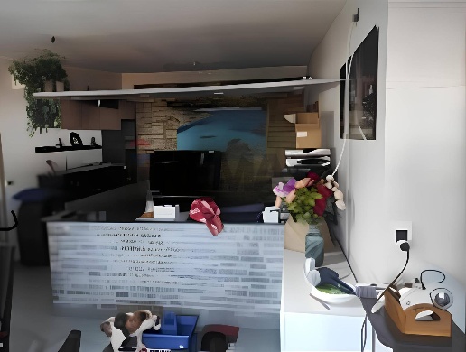 immagine annuncio 4 di 8