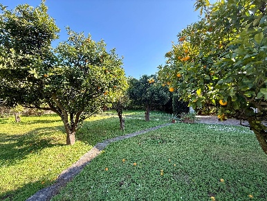 Foto Villa unifamiliare a Monte Argentario Porto Santo Stefano di 160 m²