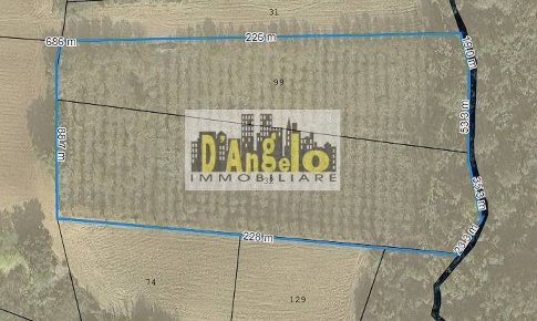 Foto Terreno residenziale in San Lazzaro, Offida di 26430 m² in vendita