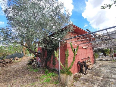 Foto Terreno agricolo in Via Dello Scalo Ferroviario 12, Marcellina