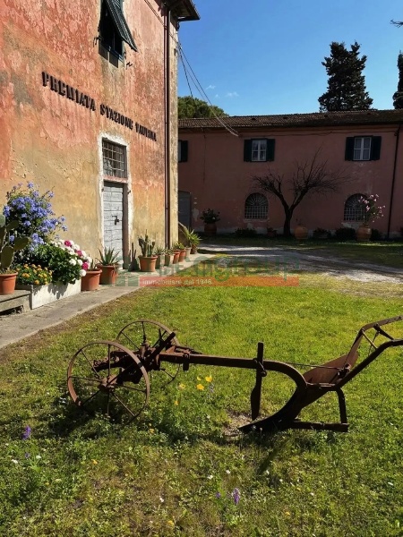 immagine annuncio 1 di 14