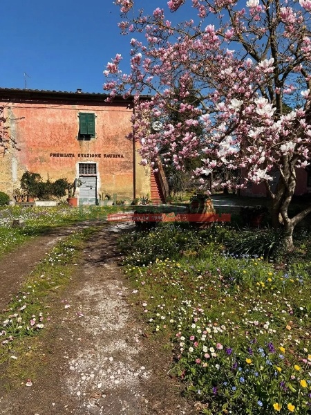 immagine annuncio 6 di 14