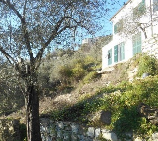 Foto Villa unifamiliare in Via IV Novembre snc, Leivi di 112 m² all'asta