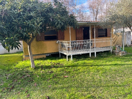 immagine annuncio 2 di 14