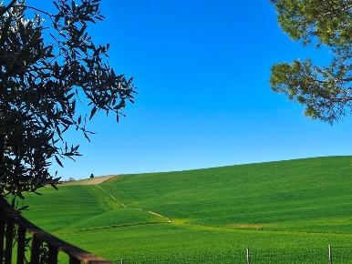 Foto Case semi ndipendenti a Monteroni d'Arbia di 180 m² con 8 locali