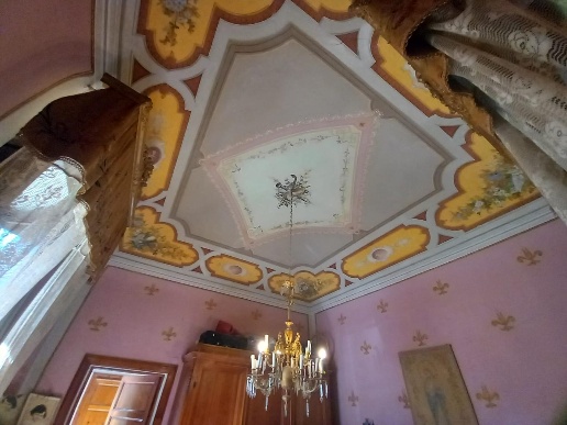 immagine annuncio 11 di 14