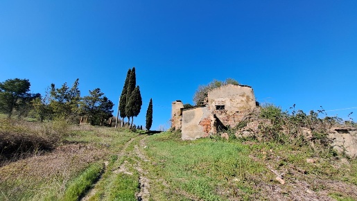 Foto Casale a Peccioli di 589 m² con 15 locali in vendita