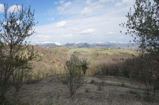 immagine annuncio 10 di 14