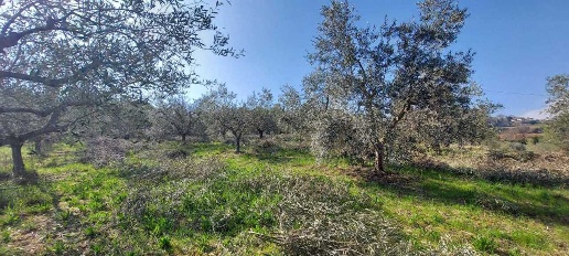 Foto Casa indipendente a San Benedetto del Tronto Porto d'Ascoli di 80 m²