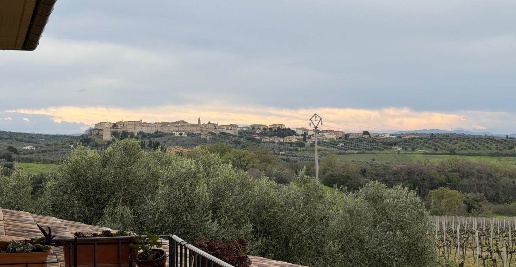 Foto Rustico a Magliano in Toscana Centro di 300 m² con 3 locali in vendita