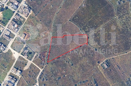 Foto Terreno agricolo a Ugento di 14070 m² in vendita