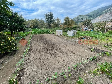 Foto Terreno agricolo in Via Pantrice SNC, Castel San Giorgio di 800 m²