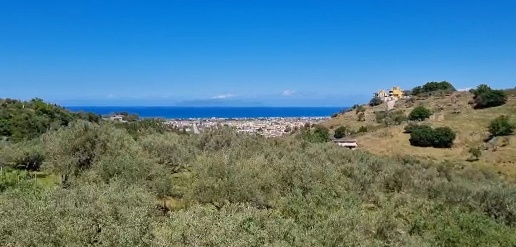 immagine annuncio 4 di 6
