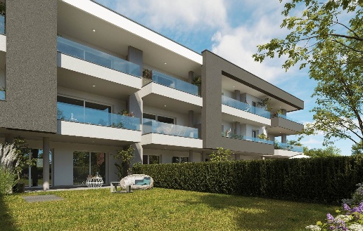 immagine annuncio 3 di 13