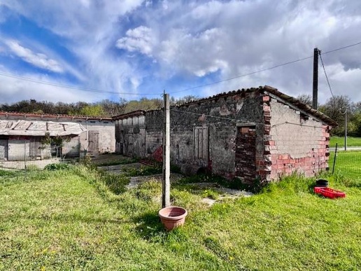 immagine annuncio 6 di 14