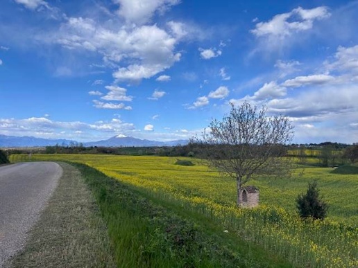 immagine annuncio 13 di 14