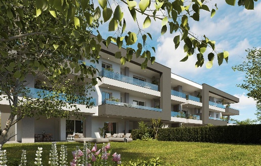 immagine annuncio 9 di 13