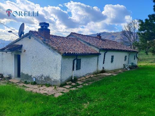 immagine annuncio 4 di 13