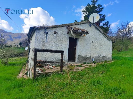 immagine annuncio 5 di 13