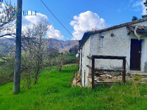 immagine annuncio 6 di 13