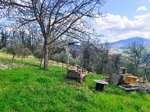 immagine annuncio 7 di 13