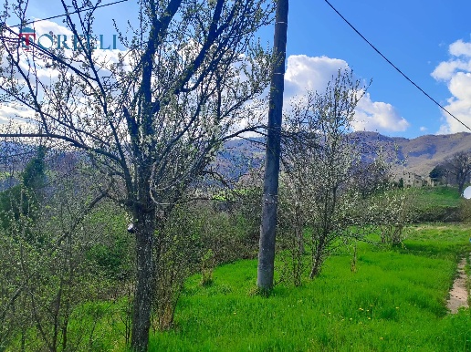 immagine annuncio 8 di 13