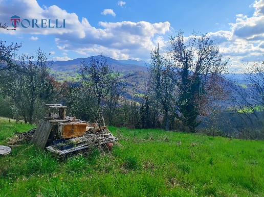 immagine annuncio 9 di 13