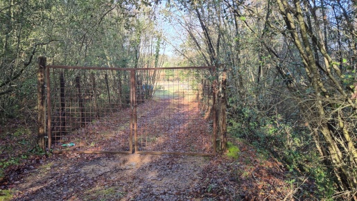 Foto Terreno agricolo a Monteriggioni di 57000 m² in vendita