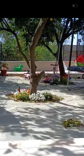 immagine annuncio 6 di 7