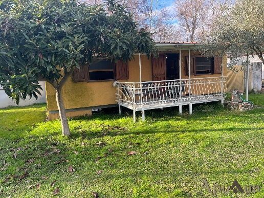 immagine annuncio 2 di 14