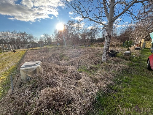 immagine annuncio 4 di 14