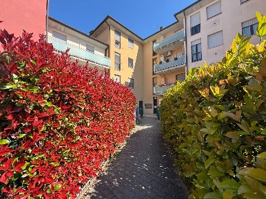 Foto Appartamento a Ponsacco Giardino di 63 m² con 3 locali in vendita